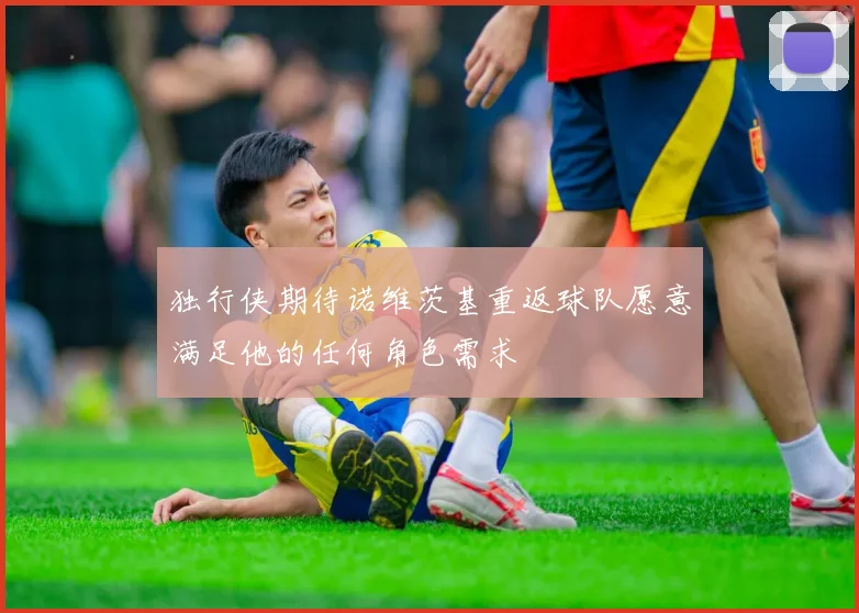 独行侠期待诺维茨基重返球队愿意满足他的任何角色需求