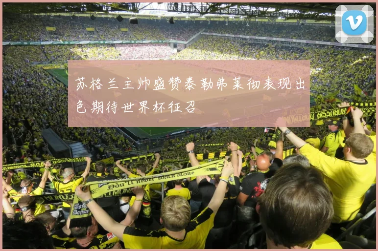 苏格兰主帅盛赞泰勒弗莱彻表现出色期待世界杯征召